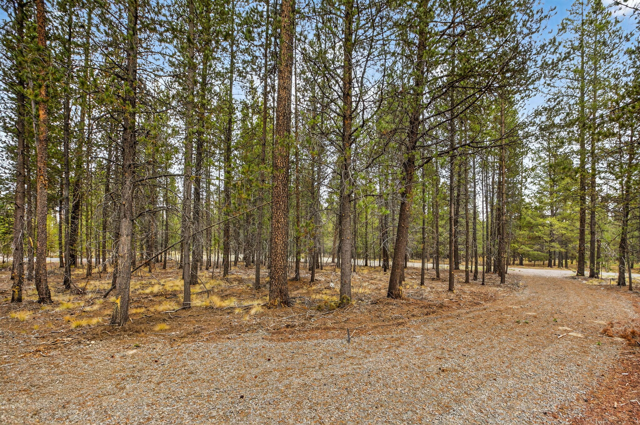 Cl+D Ranch Tracts - Land