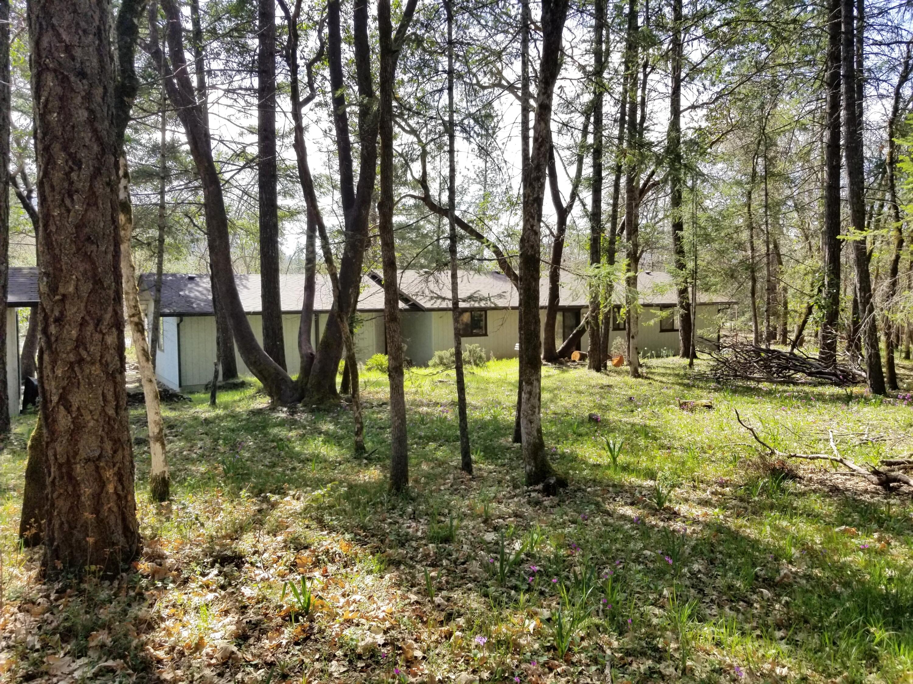 Red Mountain Tracts - Residential