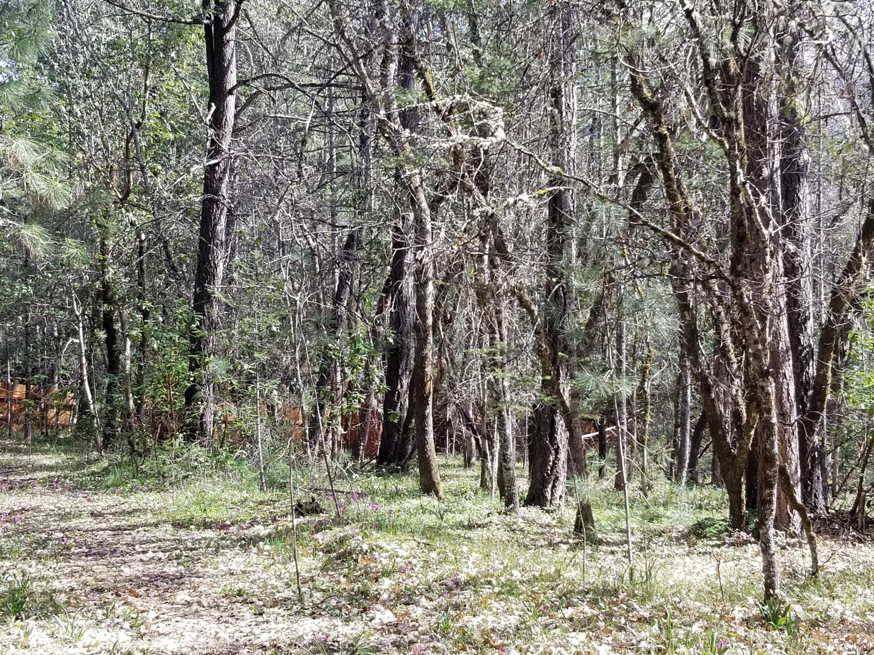 Red Mountain Tracts - Residential