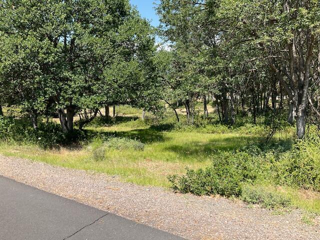 Running YResort - Land