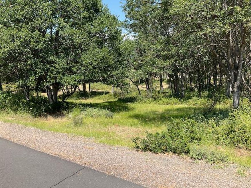 Amost a half acre of very desirable building site at the Running Y Resort.  Nice trees, a level site and close to the Lake and the Skillet Handle makes this lot the one to buy!  You can purchase now and build later.  Enjoy the lifestyle of the Running Y - golf, hiking trails, ice skating, fitness center, sports courts  and restaurants.  It is a great place to live!