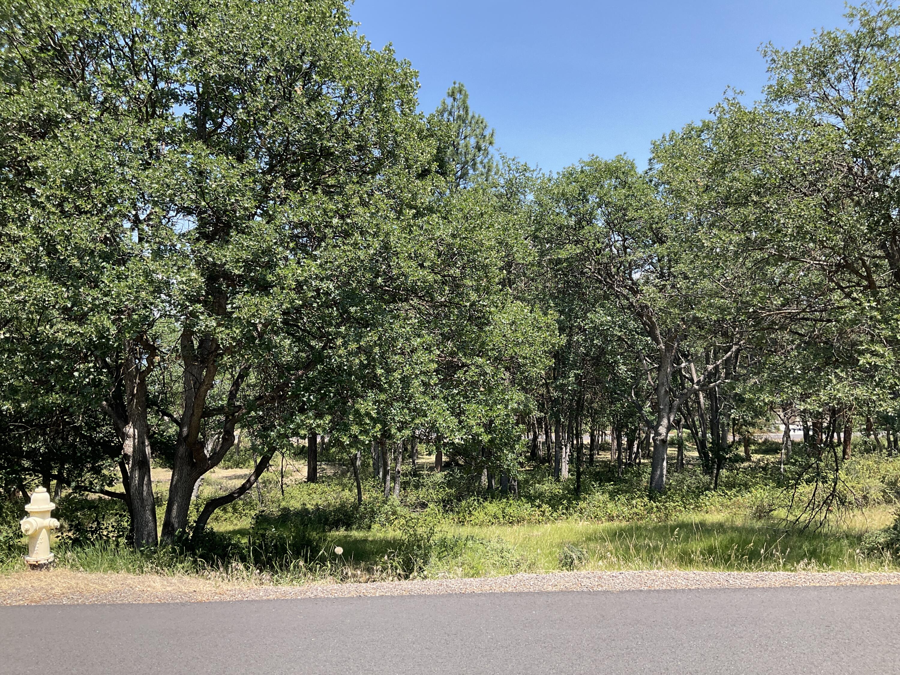 Running YResort - Land