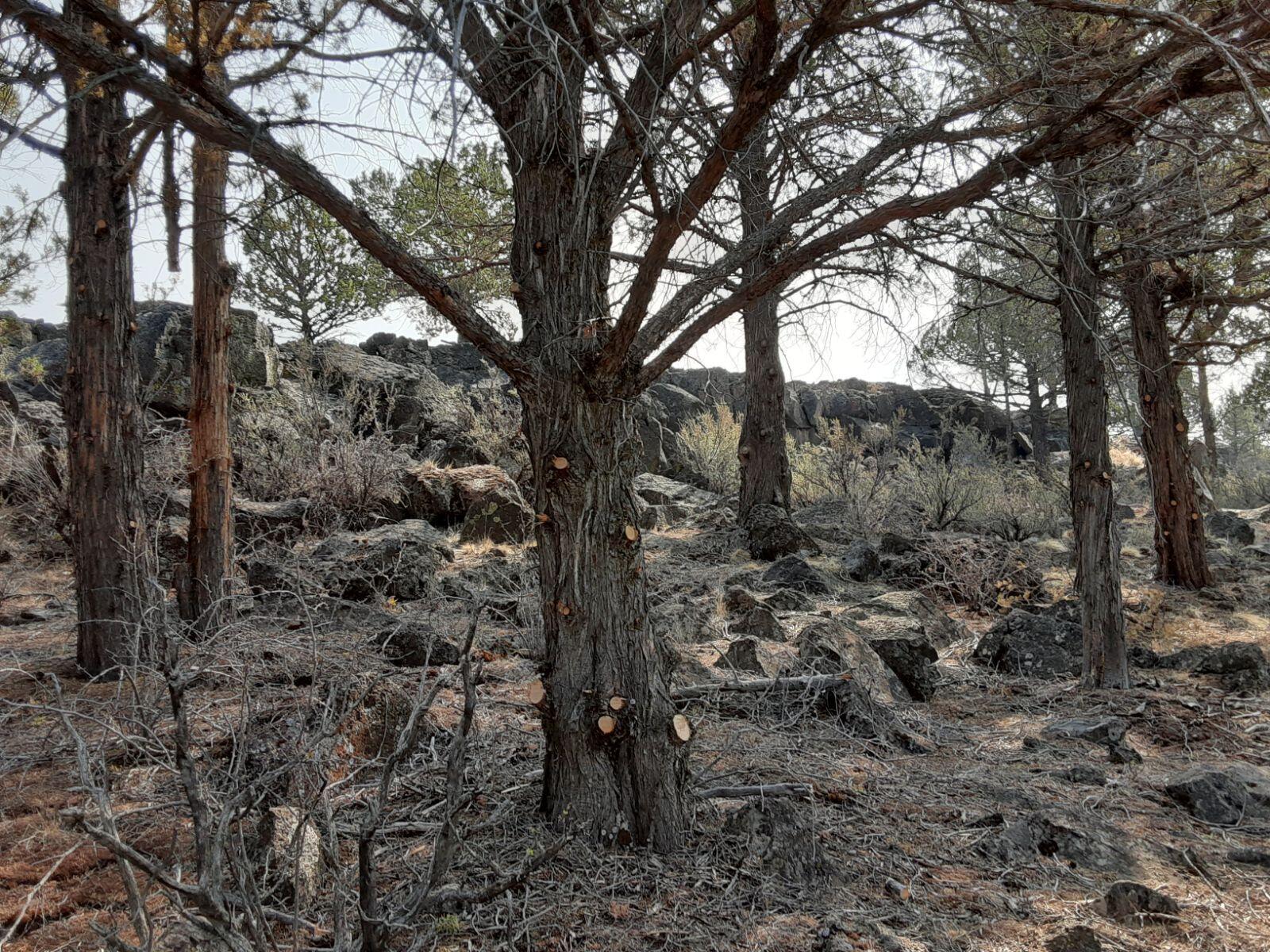 Nimrod River Park - Residential