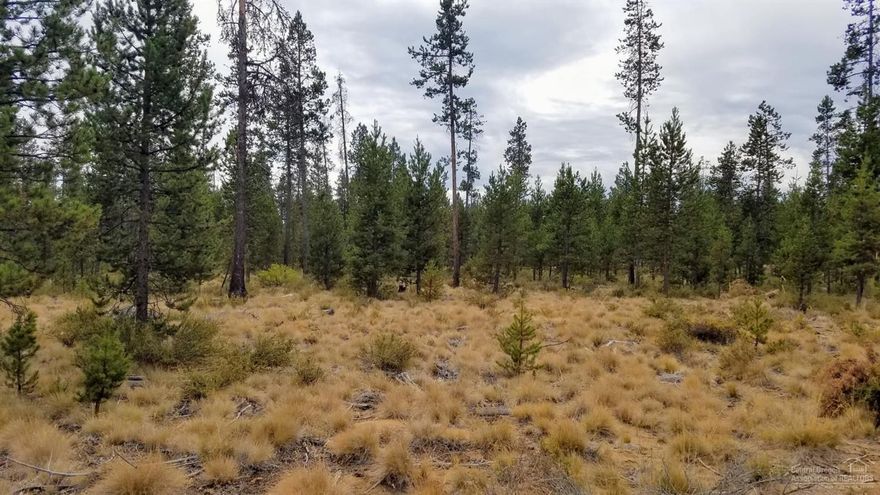 Fabulous building lot in the heart of Central Oregon, bring your own builder. Treed .49 acre parcel ready for your dream home. Solar is a paved street just minutes from the resort community of Sunriver. Private Boat launch on the Deschutes River just 1.5 miles away. 18 miles from year round recreation at Mt. Bachelor. High lakes and streams w/world class fly fishing surround this area. Mt. Bike, dirt bike, atv, snowmobile, boat, ski. Outdoor enthusiast look no further, clean rivers and Fresh Mountain Air.
