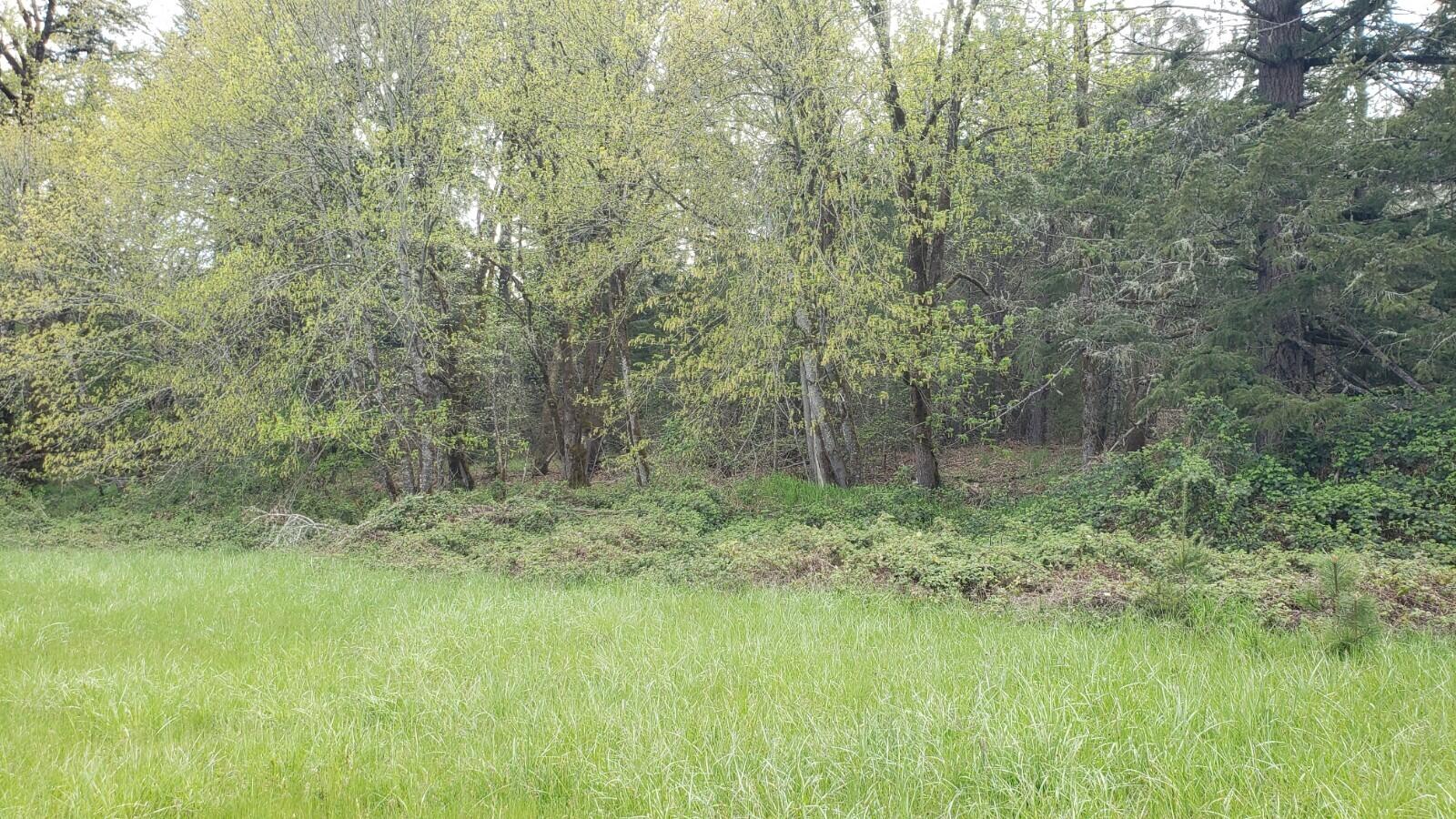 Nonpareil - Land