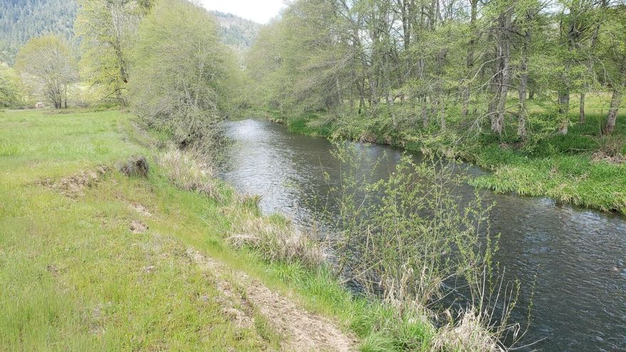 Beautiful, mostly level 7 acres with a mixture of irrigated pasture and trees. Approximately 460 feet of Cow Creek frontage, and impressive mountain views too. Well drilled and septic installed in 1978 and have never been used. Buyer to perform all due diligence, investigation, and verifying into the uses and condition of the subject property and information contained herein. All information is deemed reliable but not guaranteed or verified.