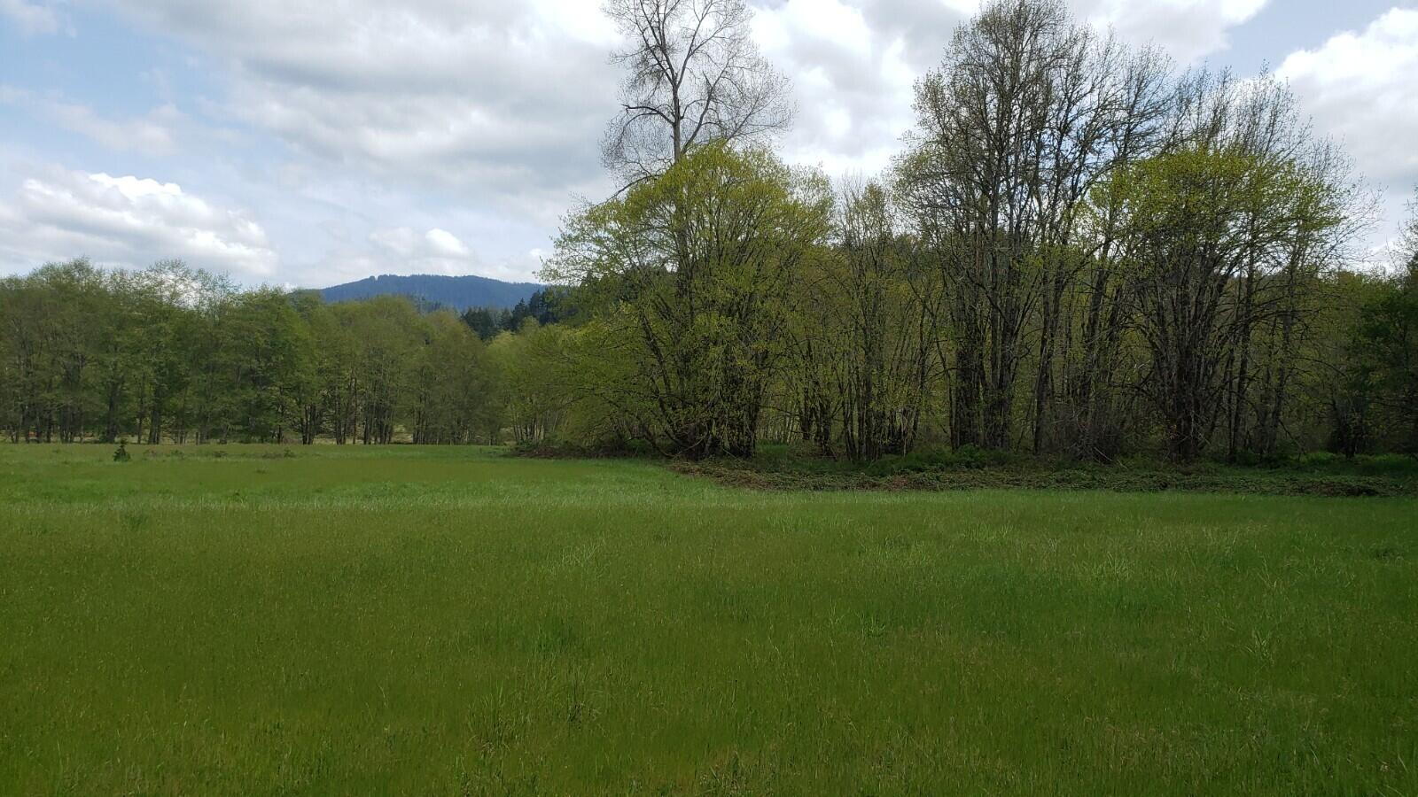 Nonpareil - Land