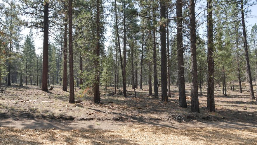 One of the most coveted communities in Central Oregon, the Mirror Rock neighborhood is the first new
neighborhood in Caldera Springs since 2007. The expansion of Caldera Springs also includes planned amenities such as a new pool with water slide and family game room. A park featuring pickleball courts, climbing and play structures, small and large dog parks, along with miles of new paved and soft trails that connect to existing pathways and trails throughout Caldera Springs and Sunriver. Homeowners will also have access to Caldera Links, and the popular Sunriver Resort facilities. Taxes are not included. Taxes will be determined after final recorded plat and appointed assessor's parcel number.
