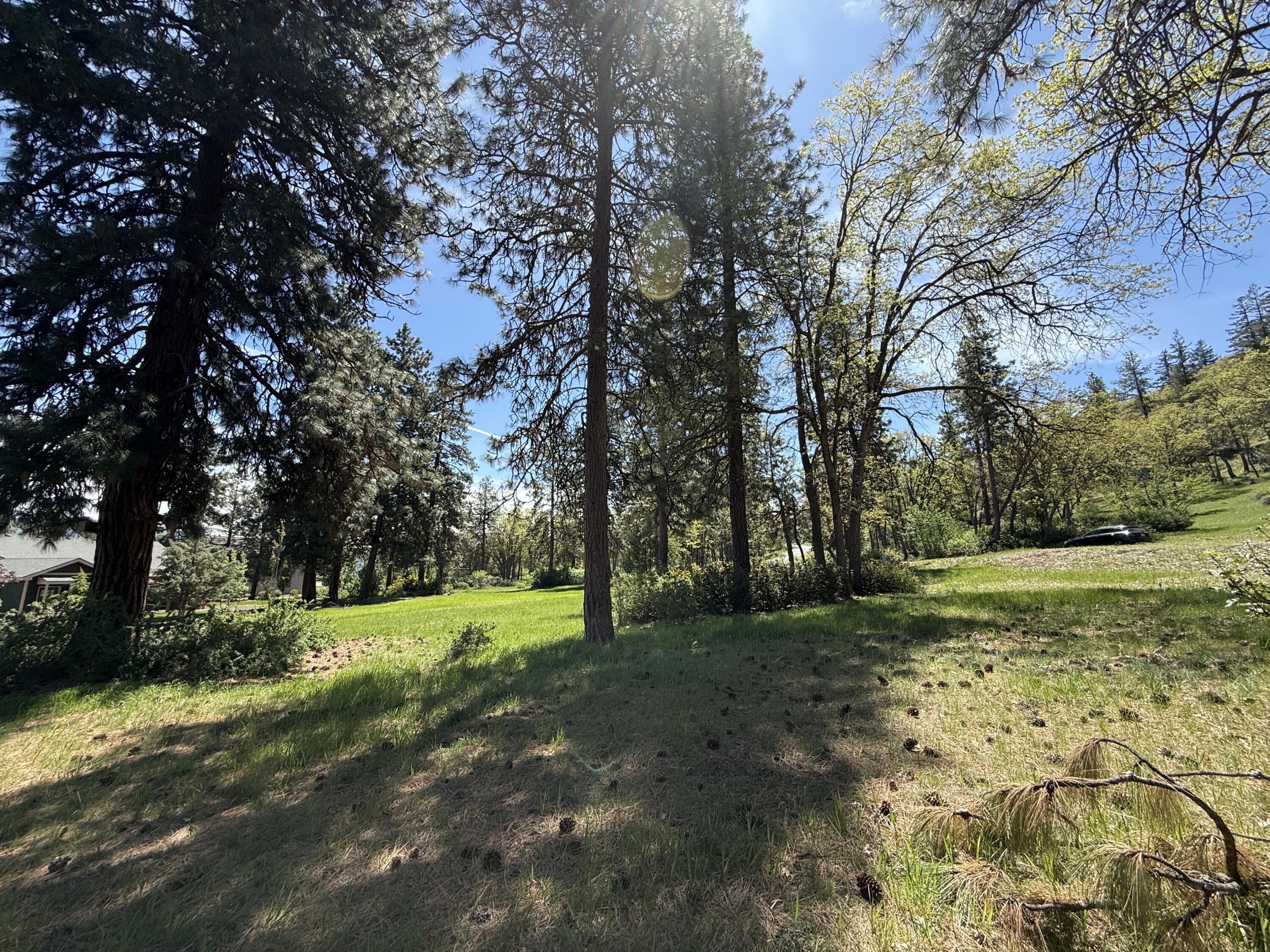 Coopers Hawk Road Lot 875