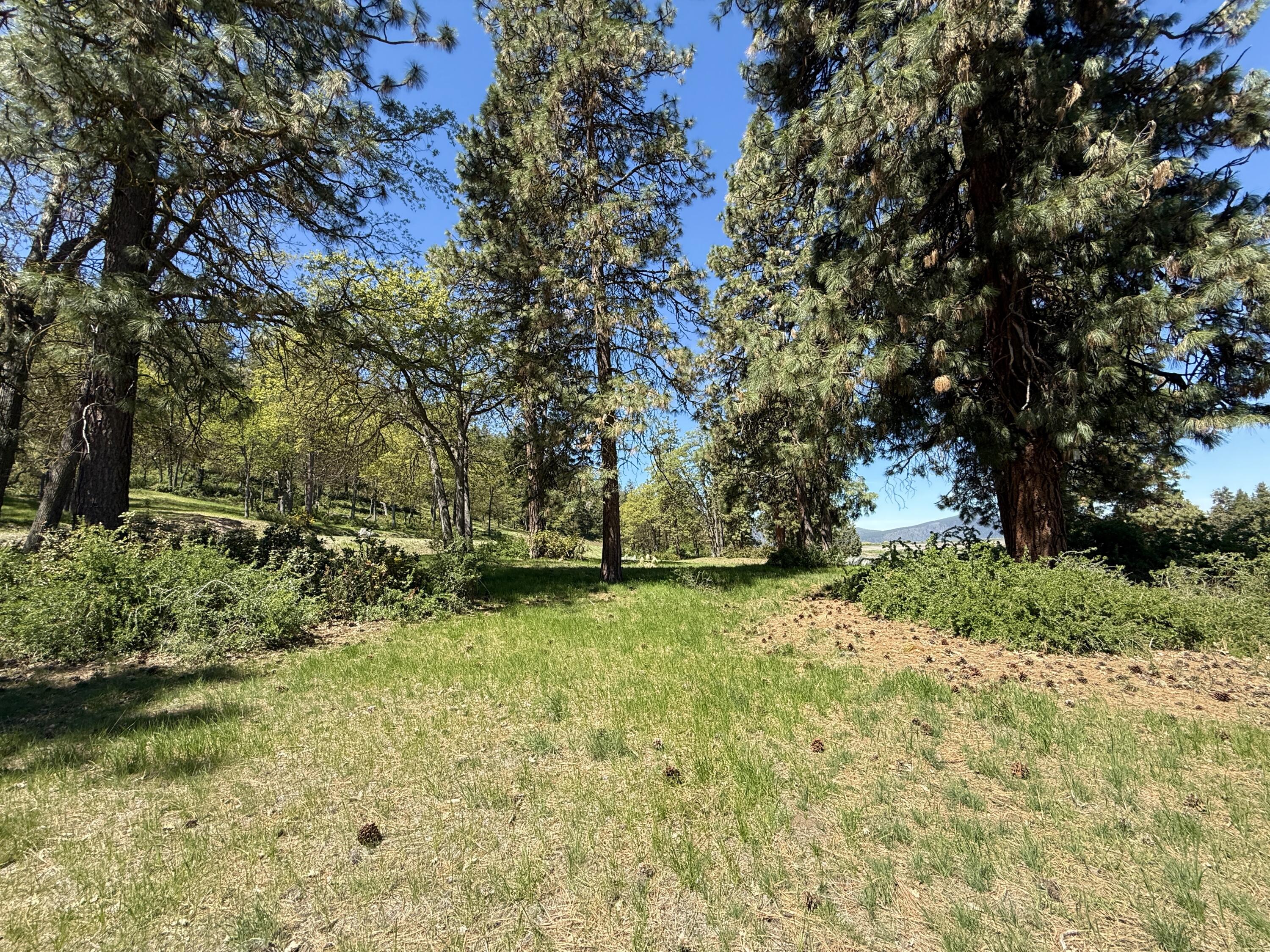 Coopers Hawk Road Lot 875