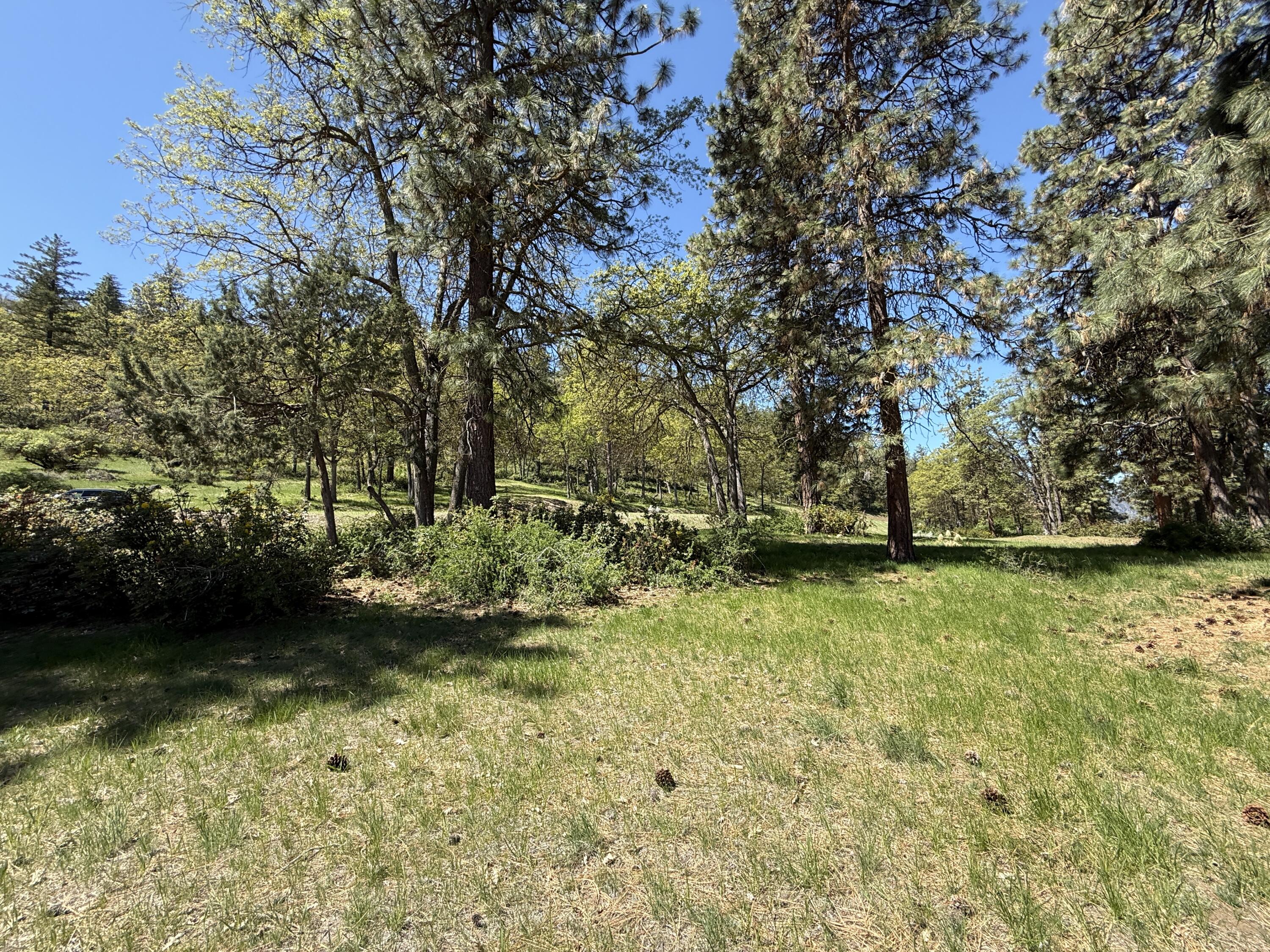 Coopers Hawk Road Lot 875