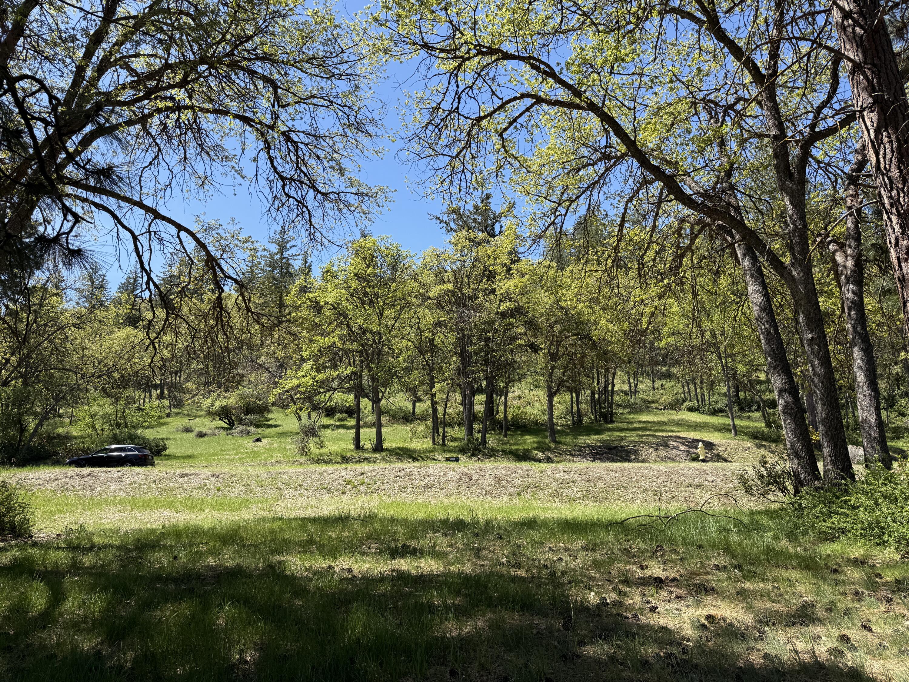 Coopers Hawk Road Lot 875