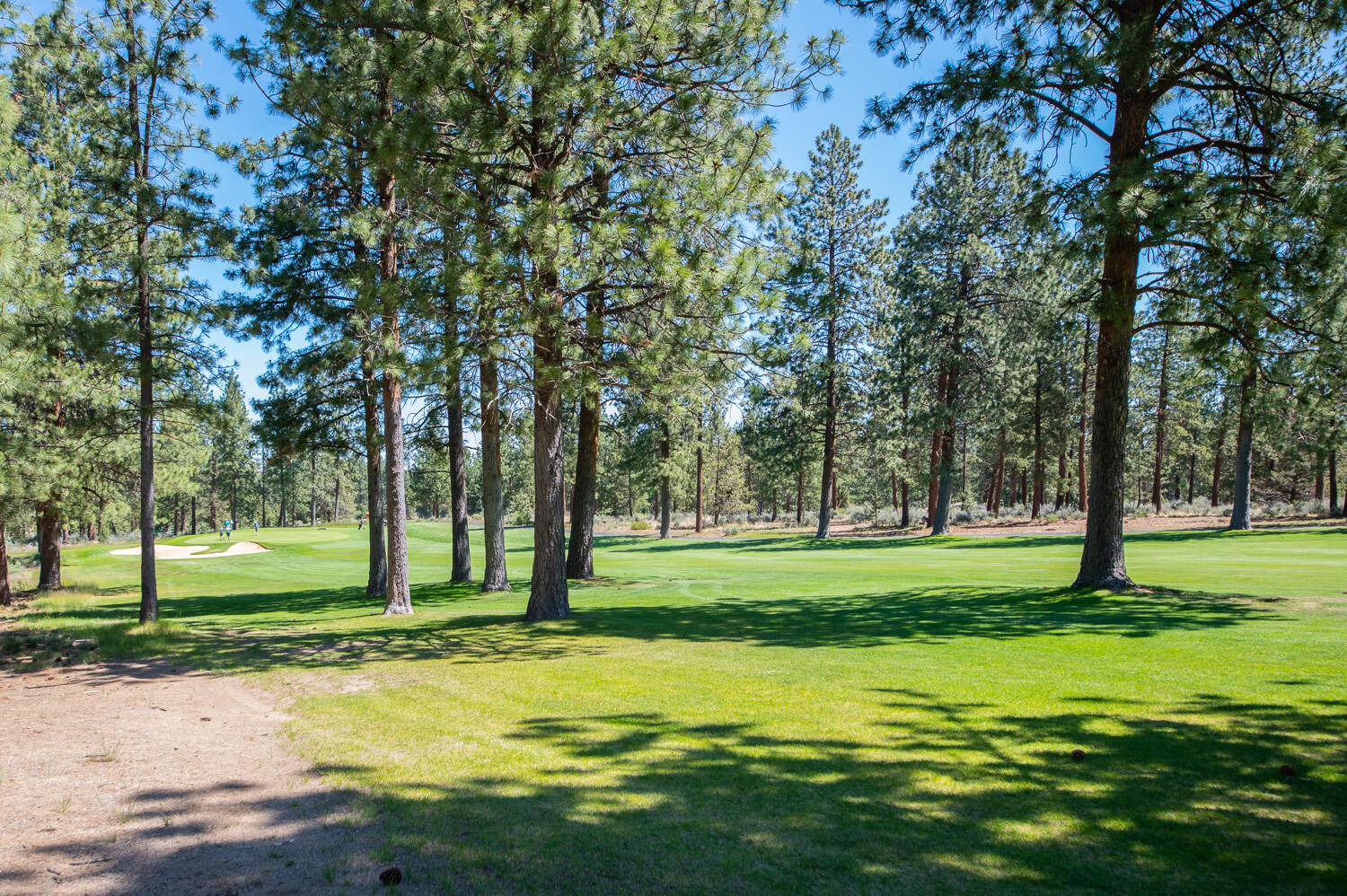 Mountain Pine - Residential