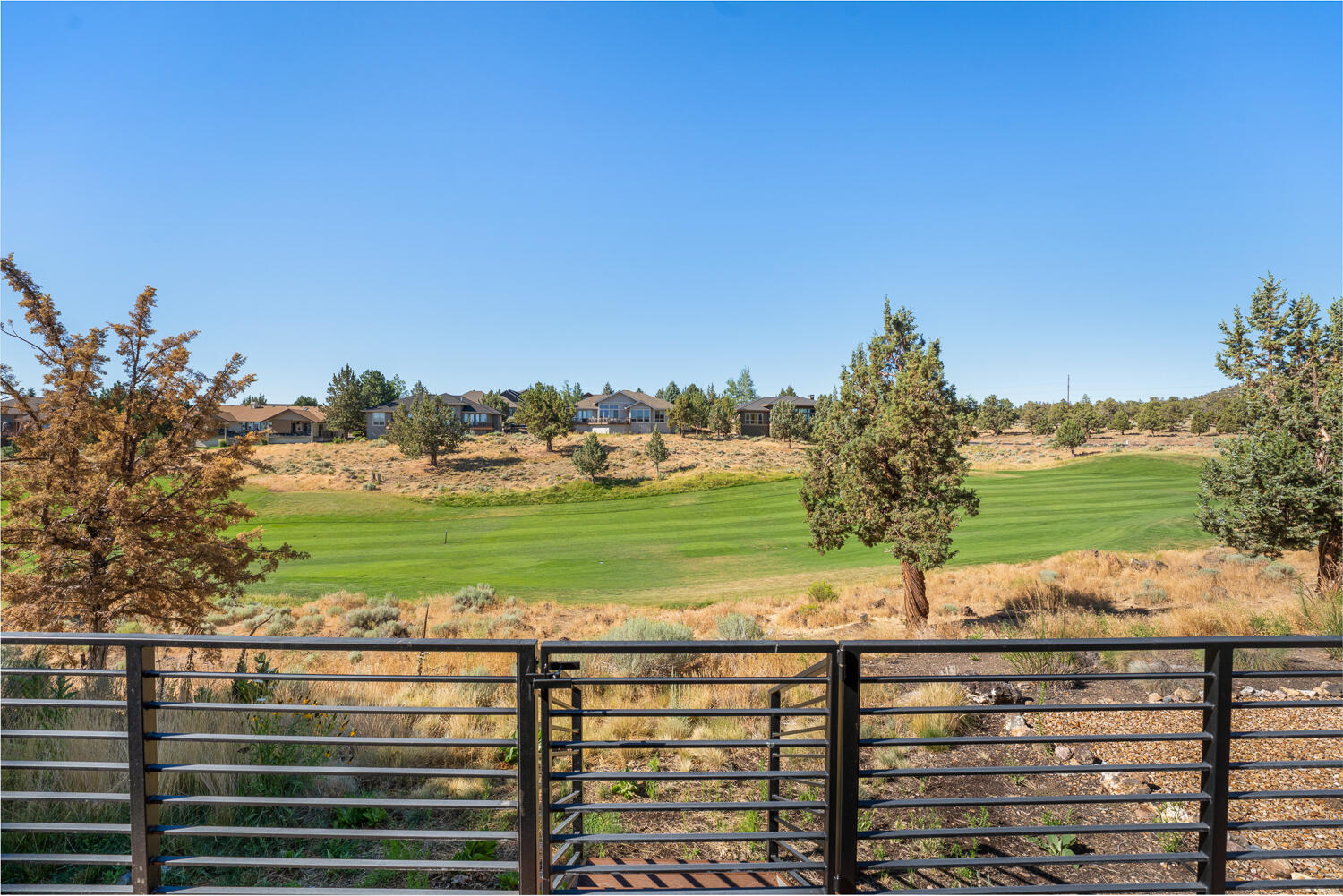 8524 Forest Ridge Loop