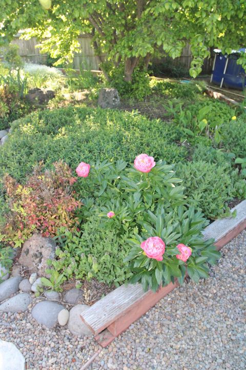 Tiny photo for 3011 Edgewood Drive, Medford, OR 97504 (MLS # 220220142)