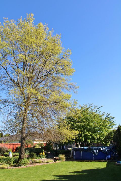 Tiny photo for 3011 Edgewood Drive, Medford, OR 97504 (MLS # 220220142)