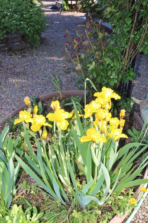 Tiny photo for 3011 Edgewood Drive, Medford, OR 97504 (MLS # 220220142)