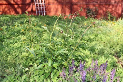 Tiny photo for 3011 Edgewood Drive, Medford, OR 97504 (MLS # 220220142)