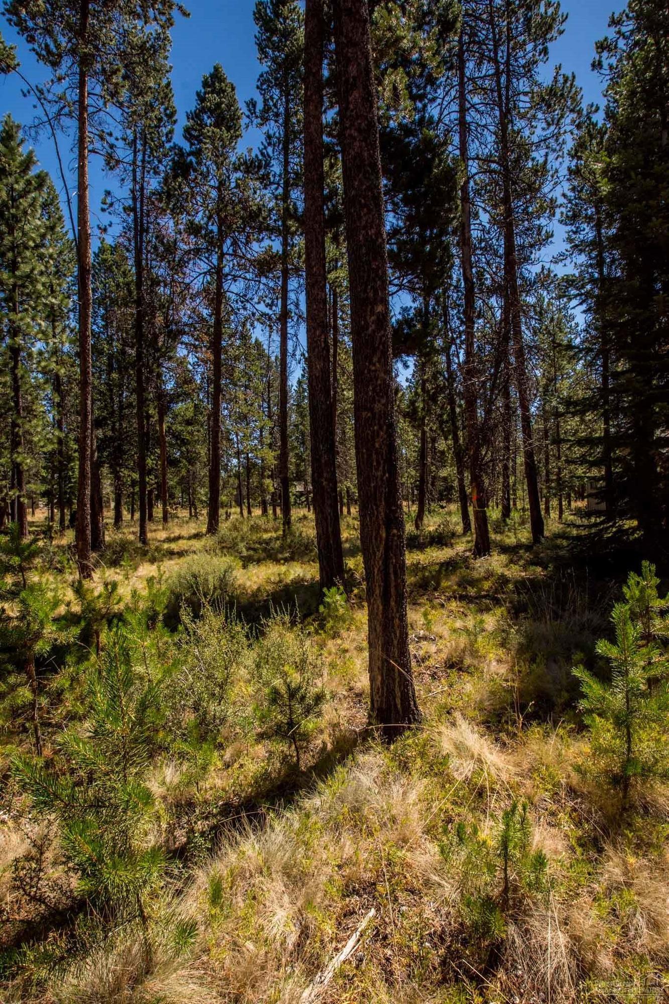 River Village - Land