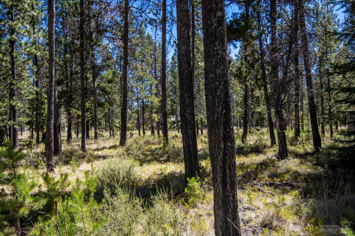 River Village - Land