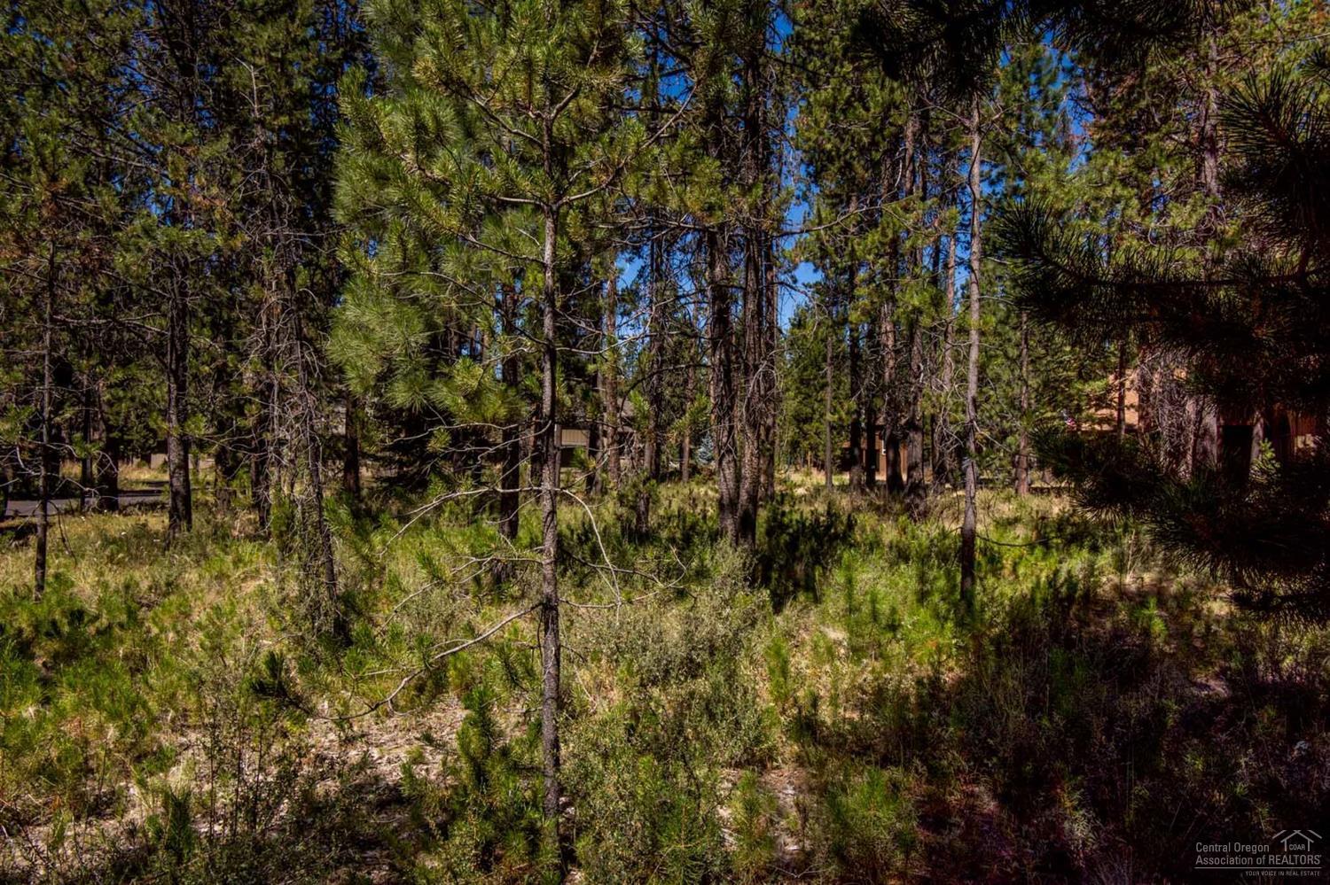 River Village - Land