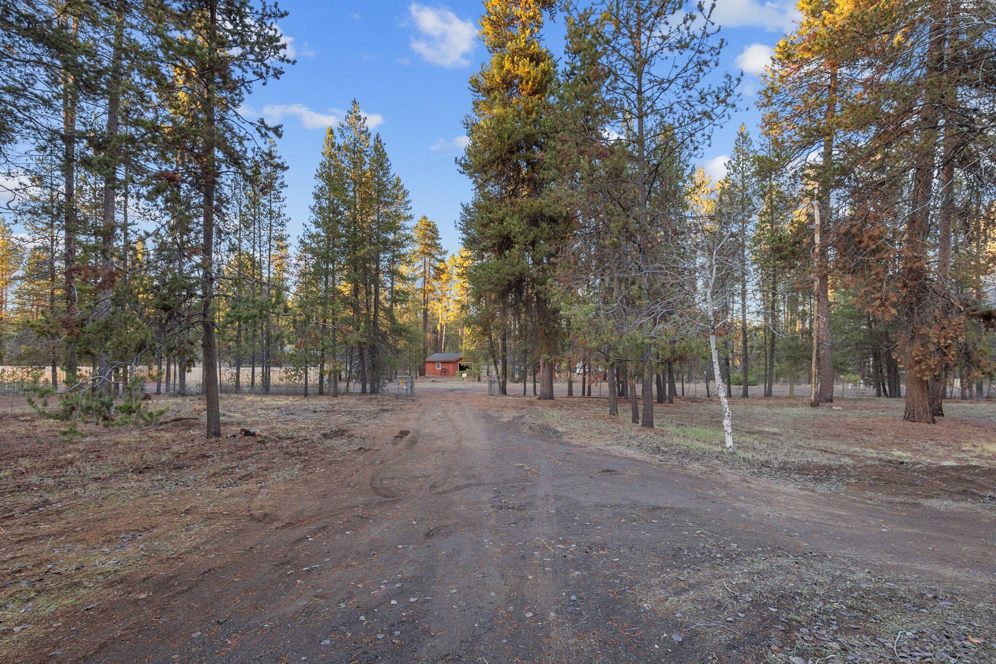 Tall Pines - Residential