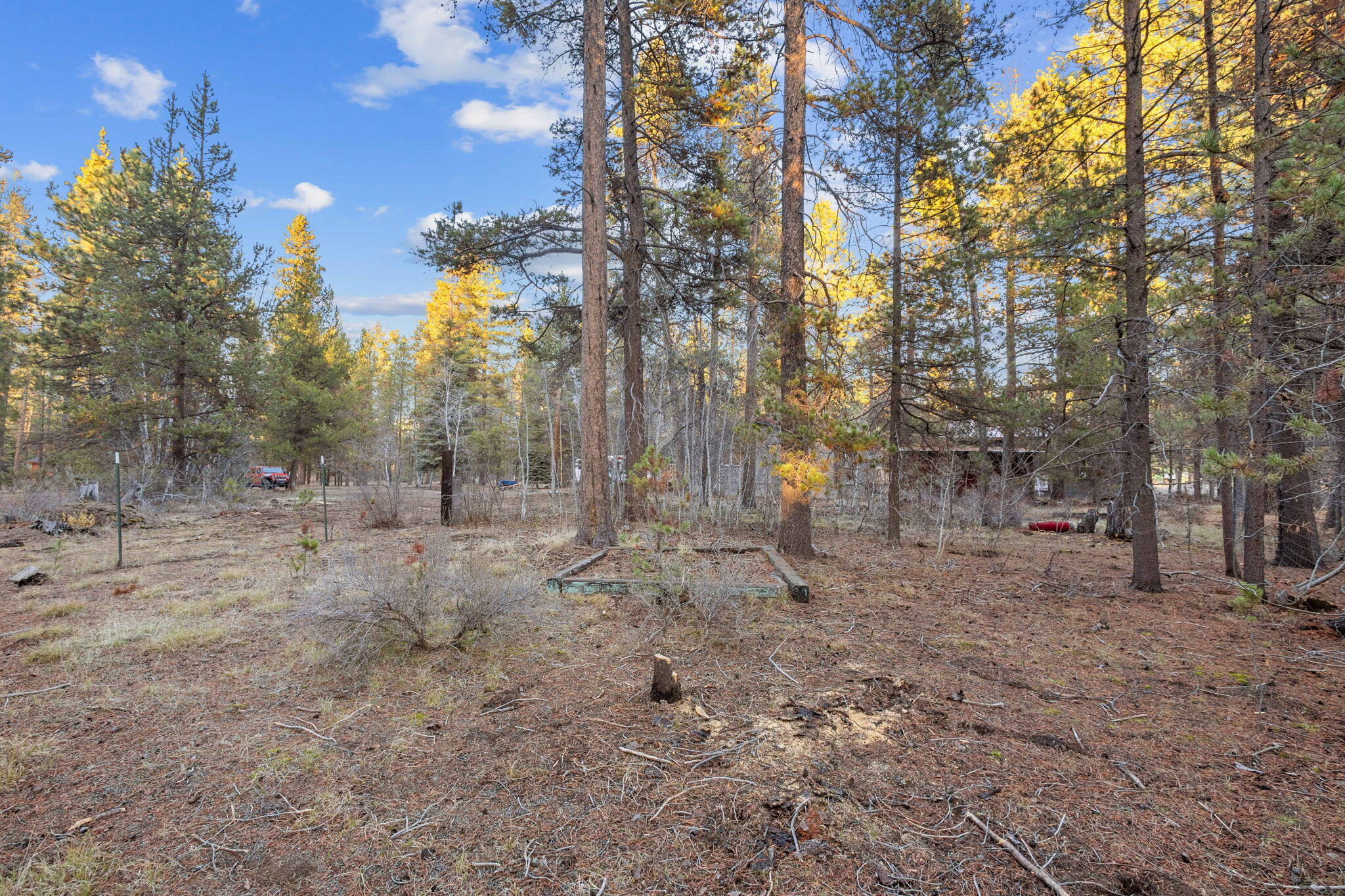 Tall Pines - Residential