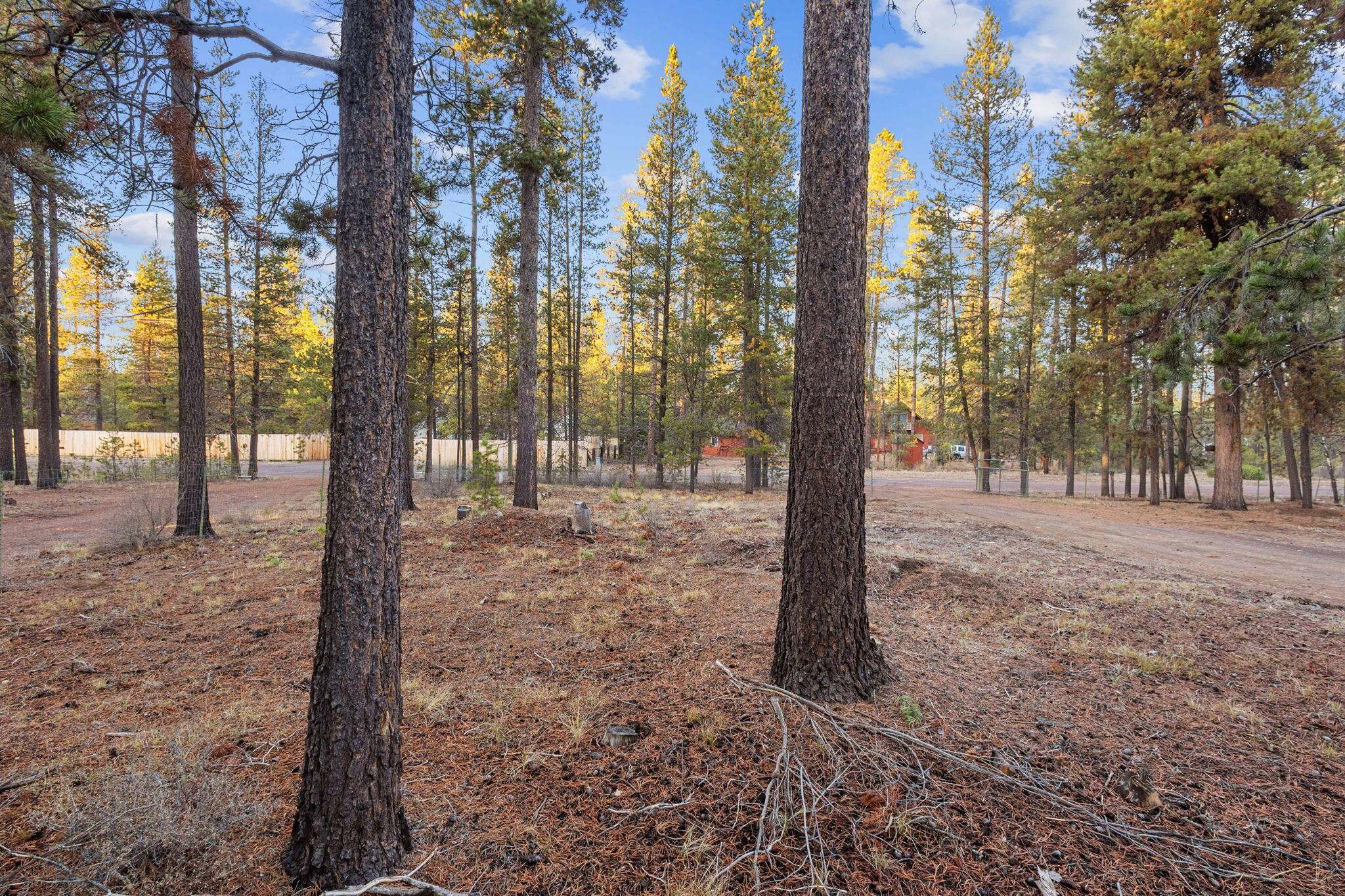 Tall Pines - Residential