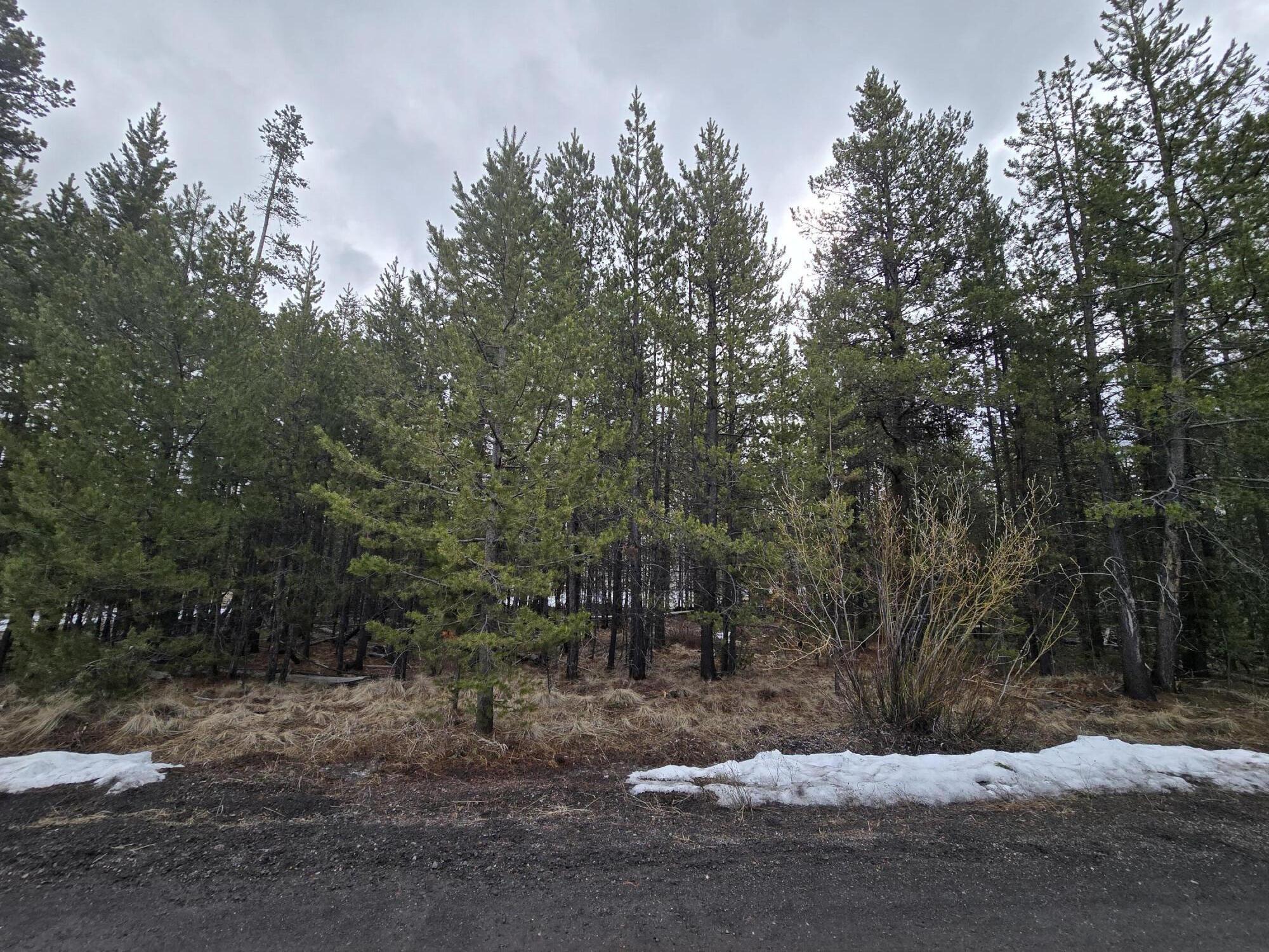 Deschutes River Recreation Homesites - Land