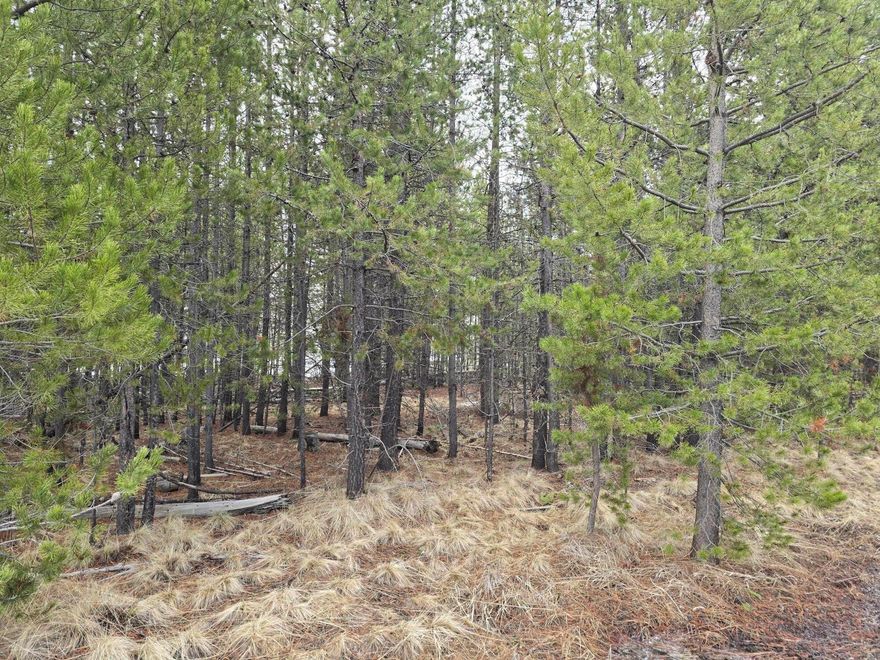 Create Your Dream Retreat Near Sunriver! This 0.51-acre corner lot in Deschutes River Recreation Homesites Unit 9 is a rare find! With a beautifully wooded setting and fairly level terrain, this parcel is ready for your vision. Enjoy the perks of an exclusive community river access point, giving you direct entry to the scenic Deschutes River. Just minutes to Sunriver or public land, or a short drive to Bend! A fantastic location for those who love Central Oregon, or spending time in the great outdoors—act now before it's gone!