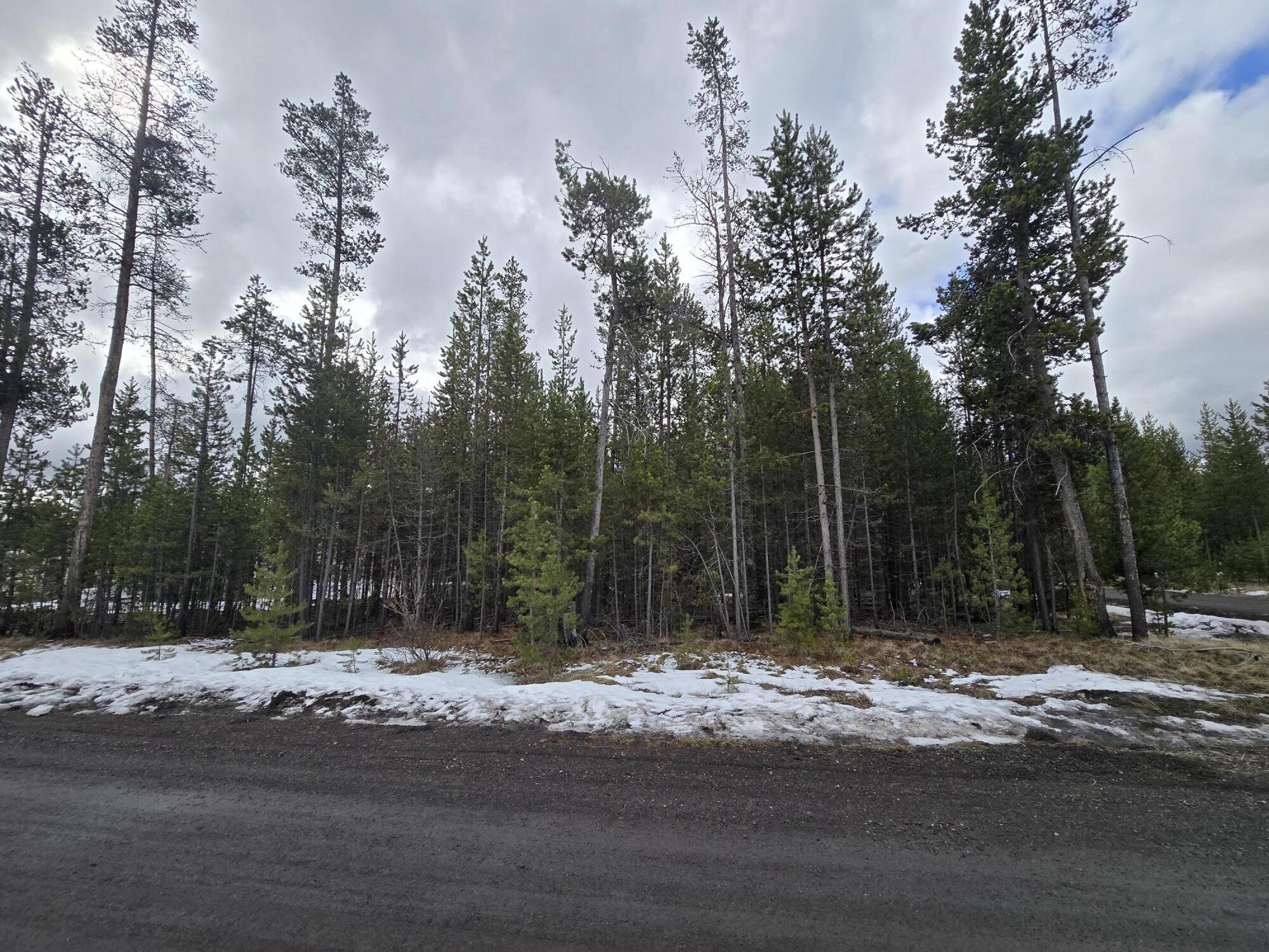 Deschutes River Recreation Homesites - Land