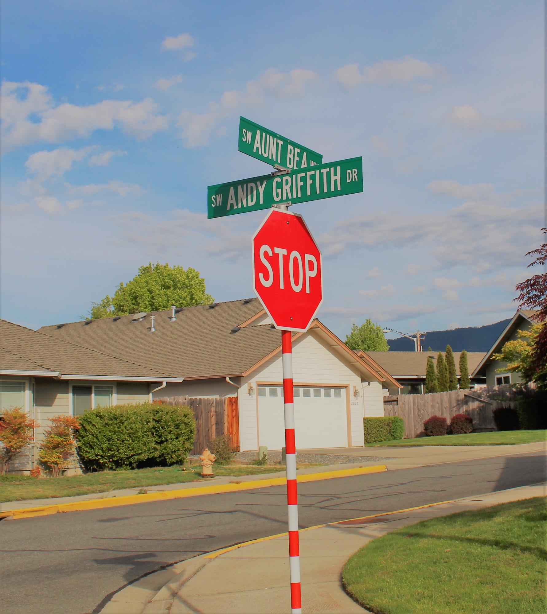 Mayberry Meadows Subdivision - Residential