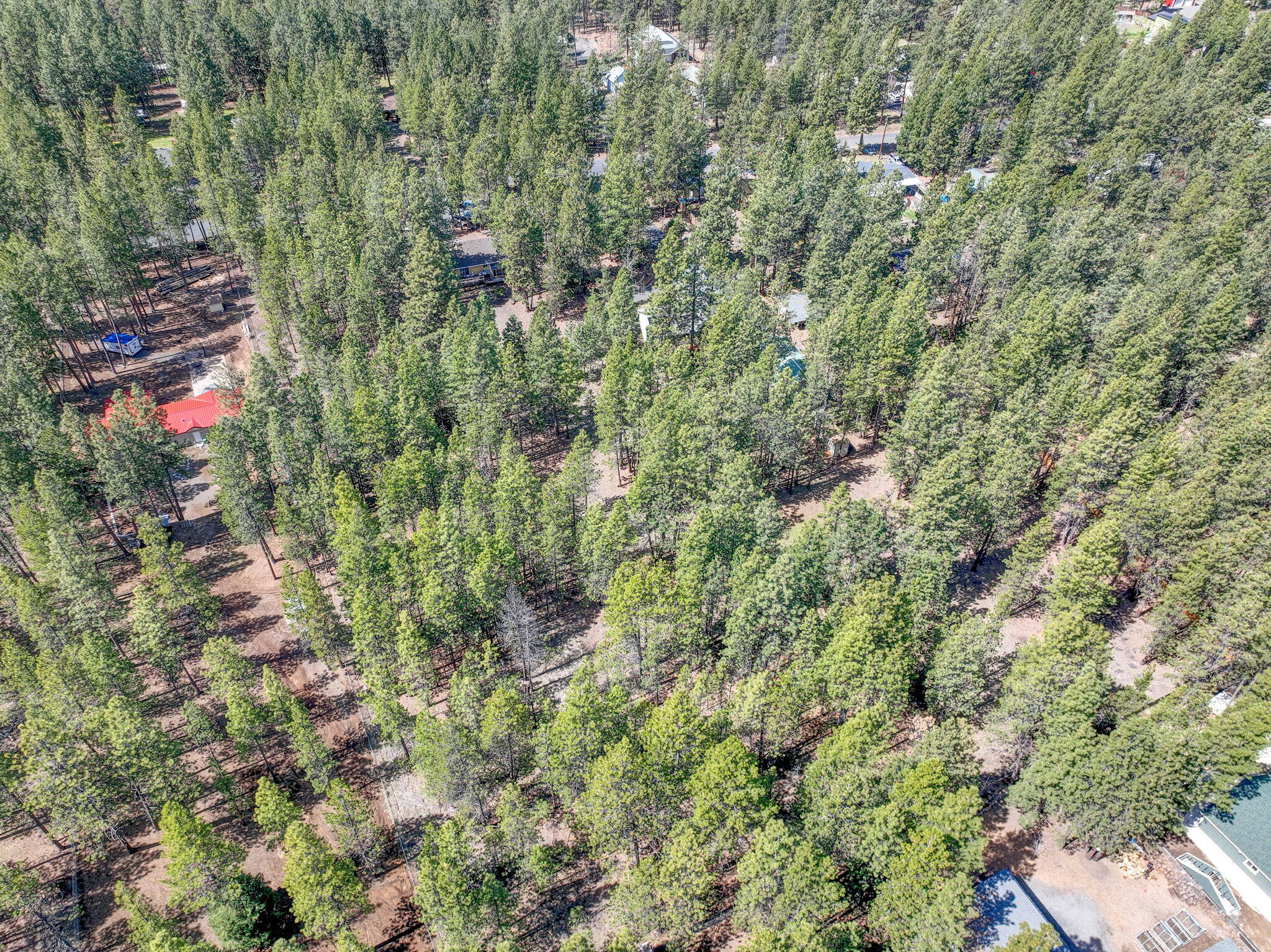 Deschutes RiverWoods - Land