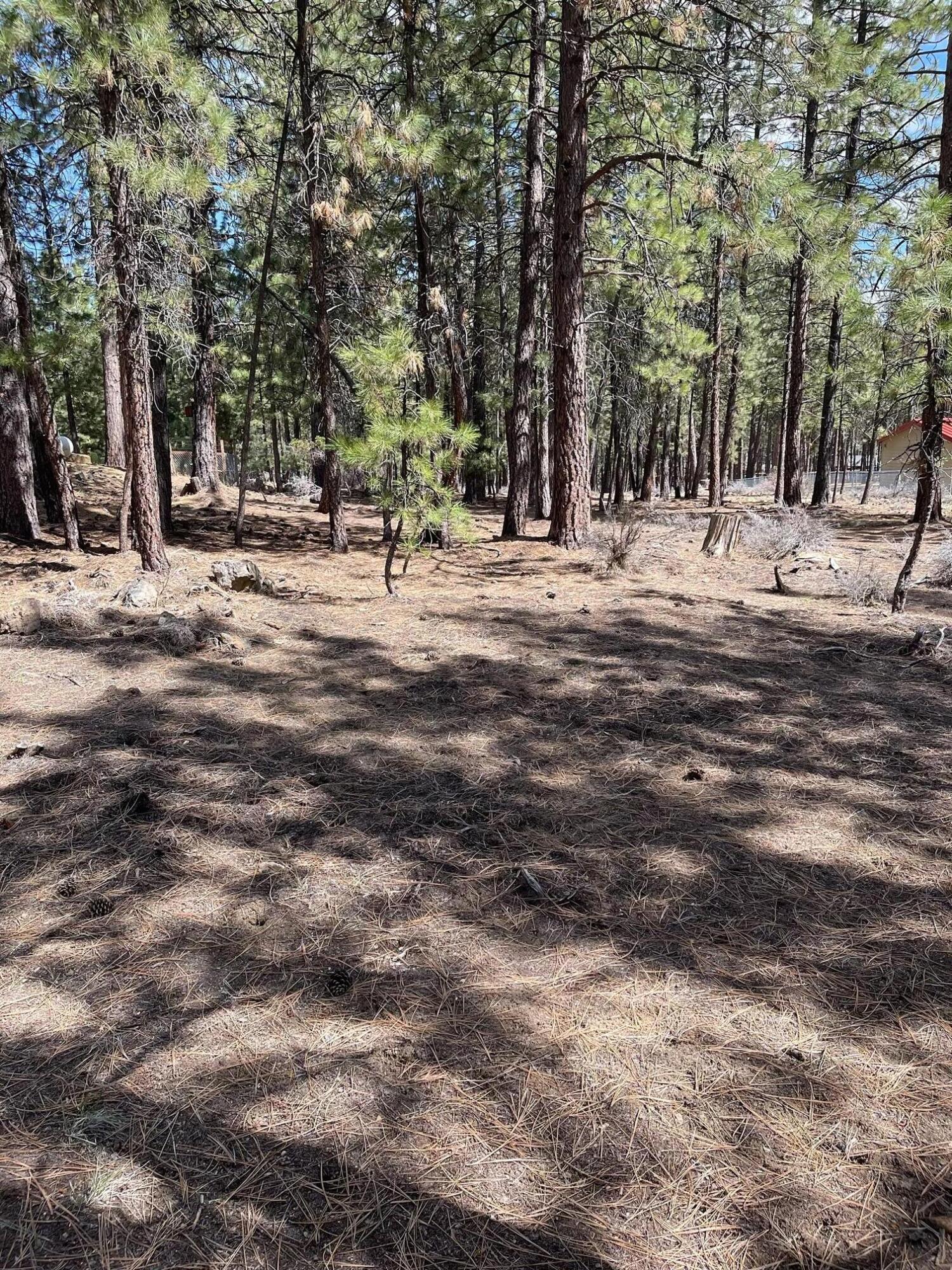 Deschutes RiverWoods - Land