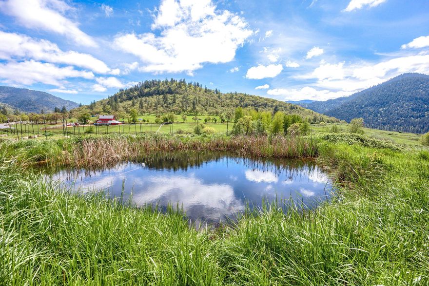 Beautiful irrigated 18.60 acres with mountain views, pond and close to Pearce Park.  Would be a great cattle or horse ranch.  Shop/garage is 1200 square feet with power.  Partially fenced. 
 Don't miss this opportunity.