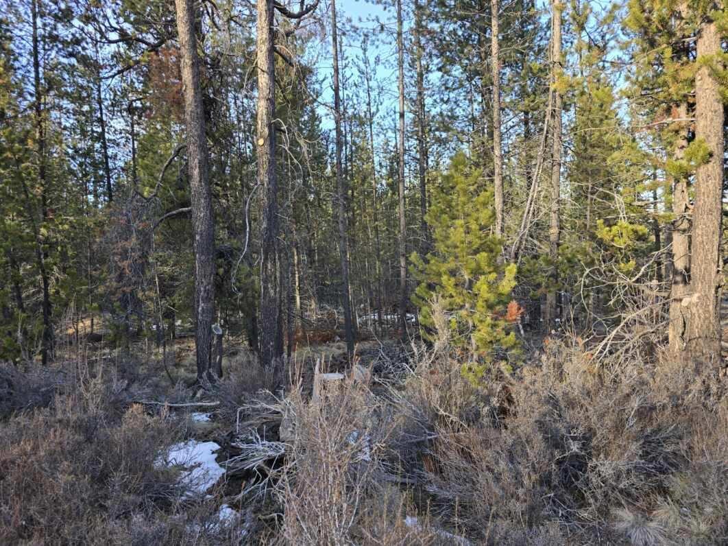 16852 ELSINORE RD Road 45