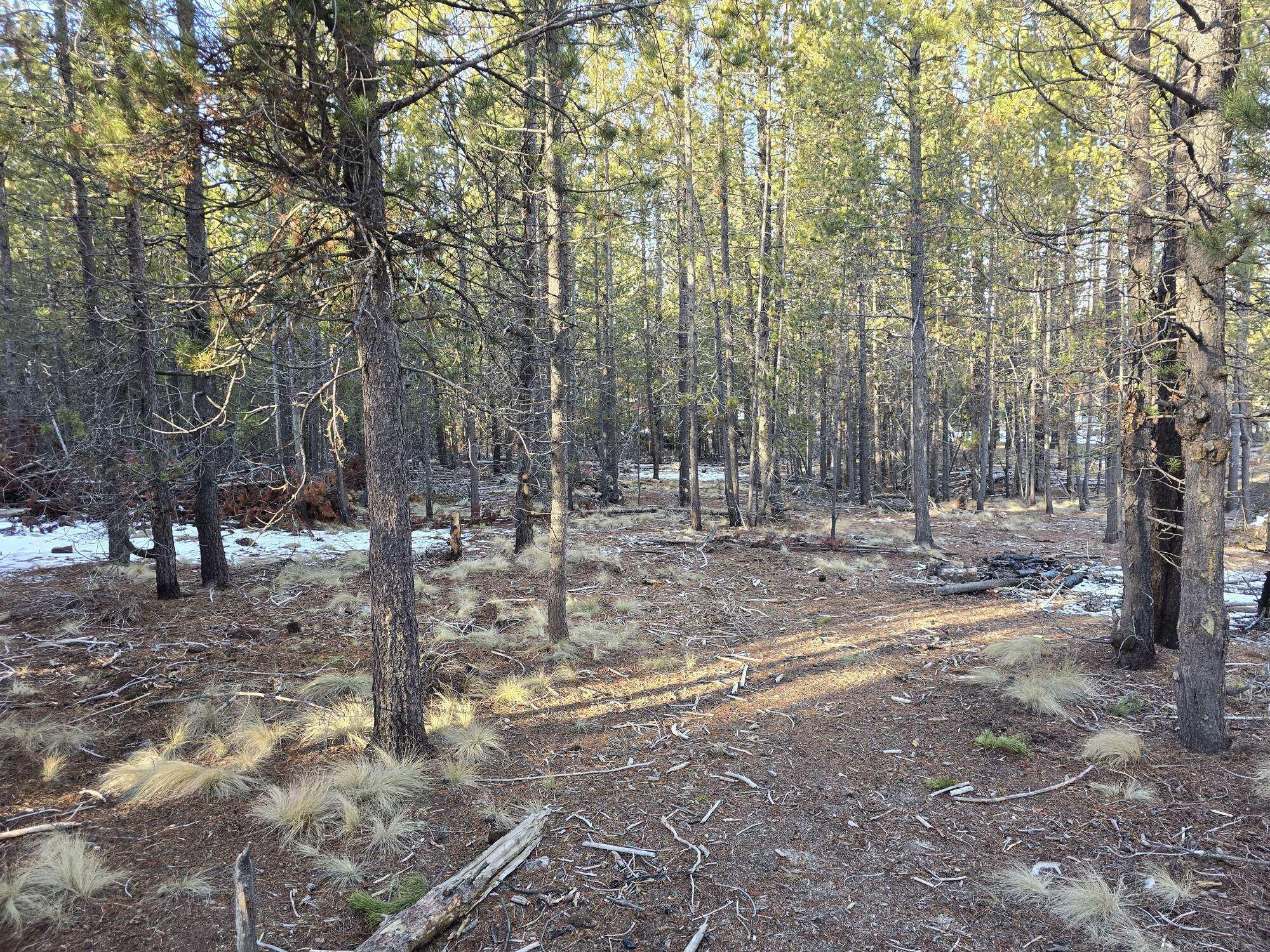 16852 ELSINORE RD Road 45