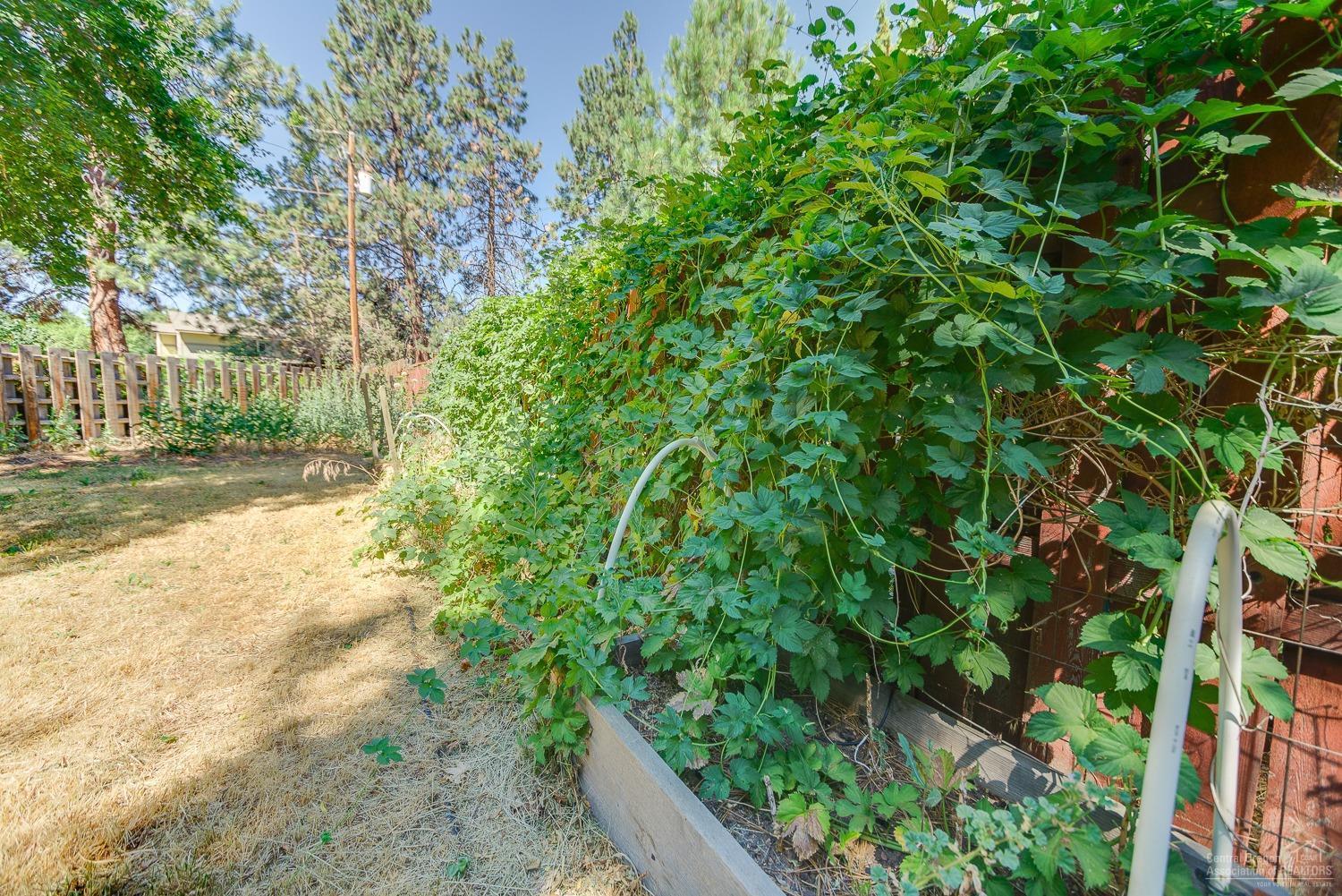 Aero Acres - Residential