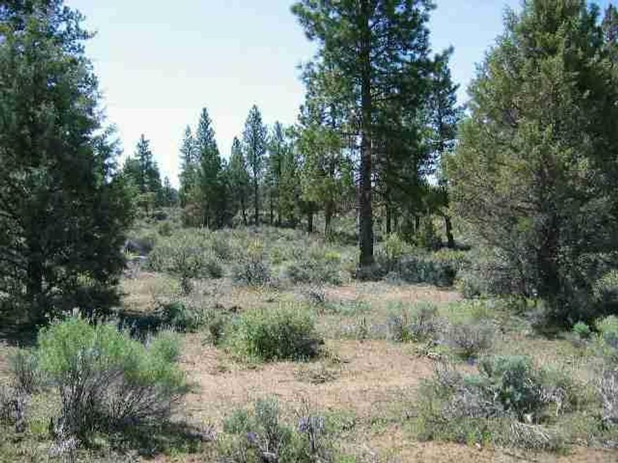 Nice Area In The Pines. Level To Rolling Lots W/Great Homesites. A Quiet Retreat. Power At Lot Line. Purchase Both 2.38 Acre Lots (Total 4.76 Acre) For $13,800 Or One 2.38 Acre Lot For $11,800.