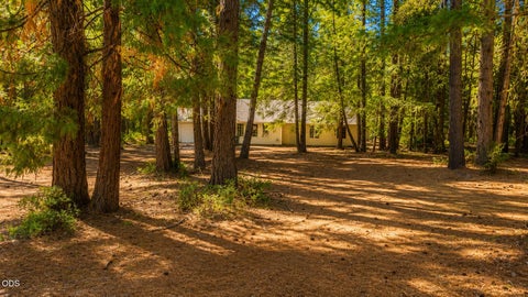 Tiny photo for 1110 Naue Way, OBrien, OR 97534 (MLS # 220222876)