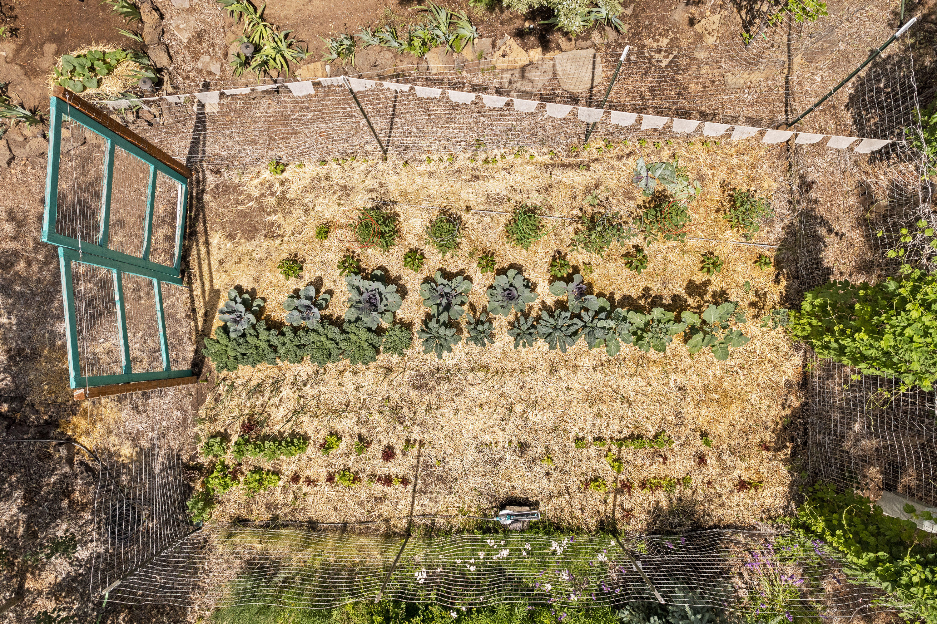 Choctaw Village - Residential