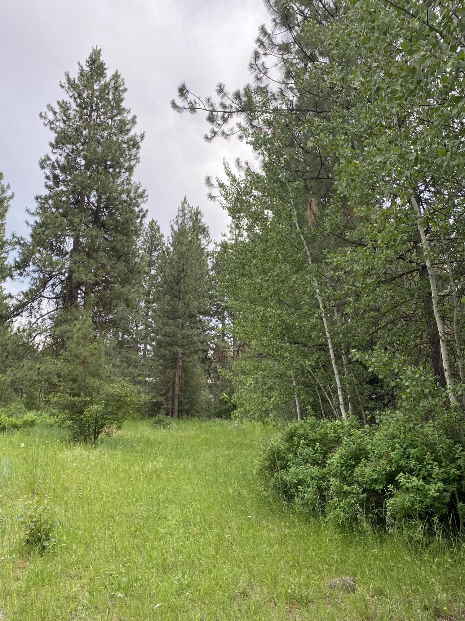 Mountain Lakes Homesites - Land