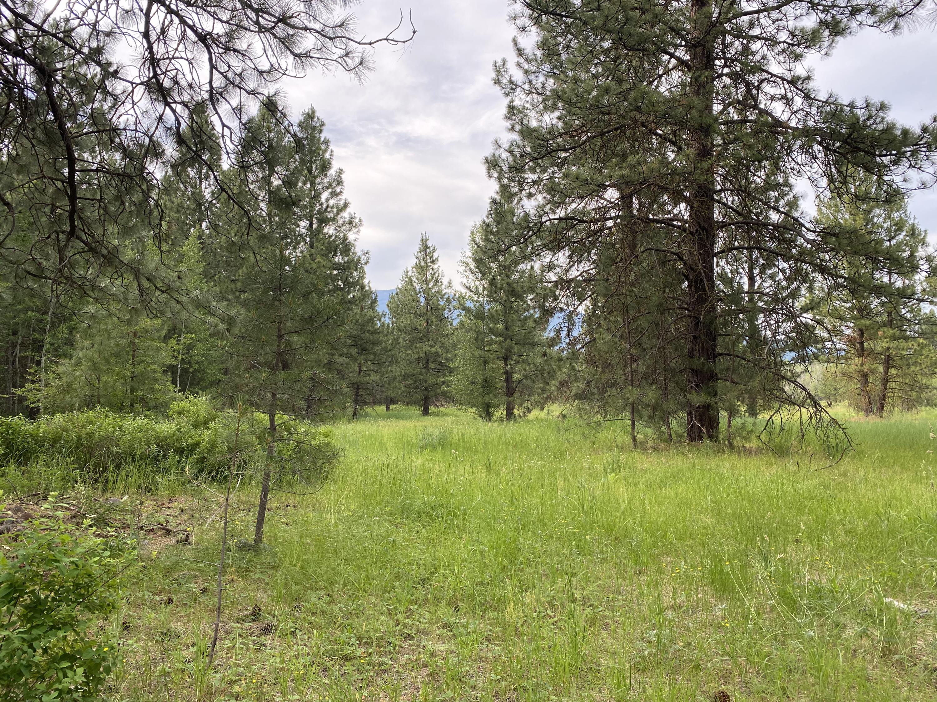 Mountain Lakes Homesites - Land