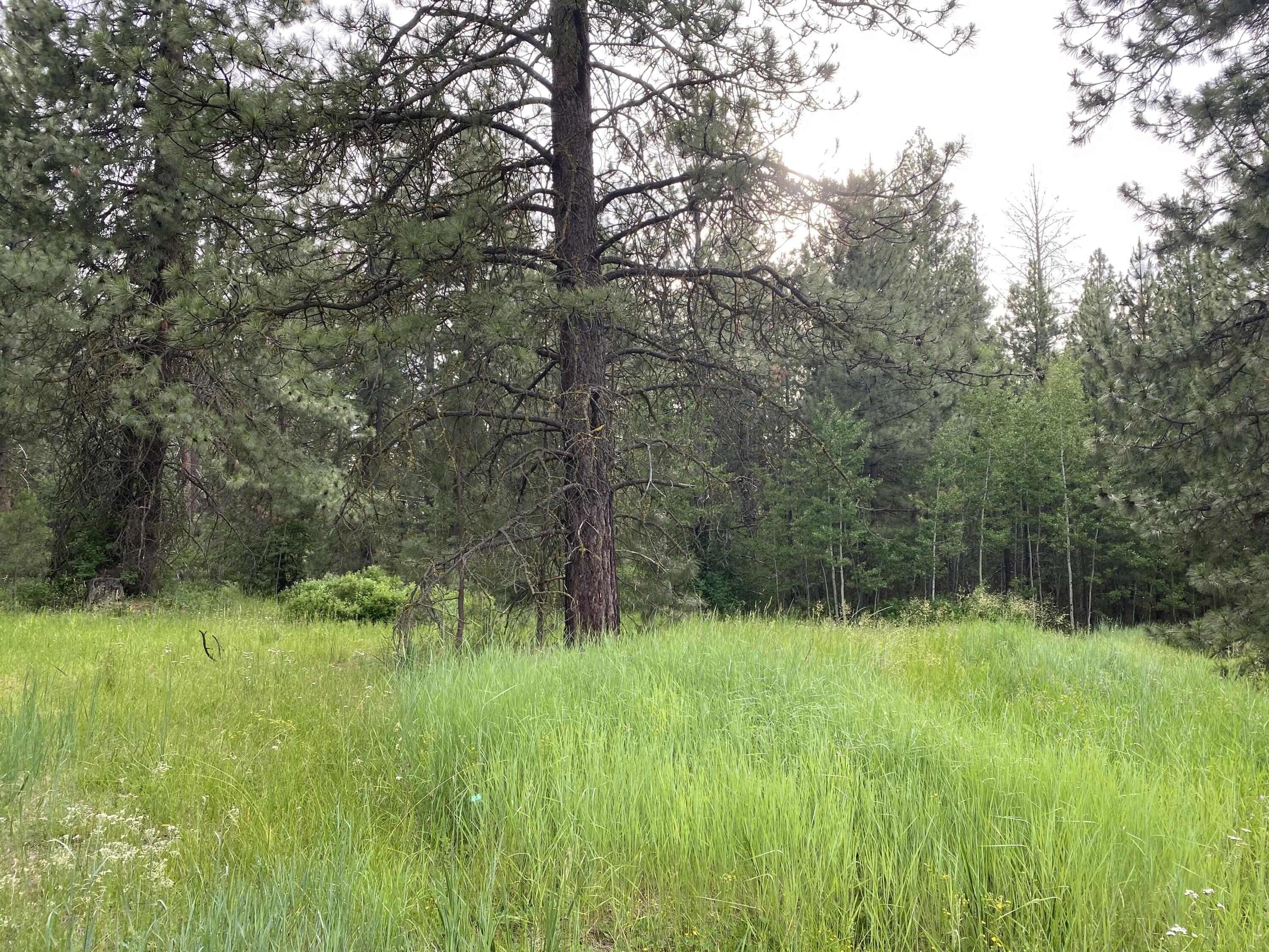 Mountain Lakes Homesites - Land