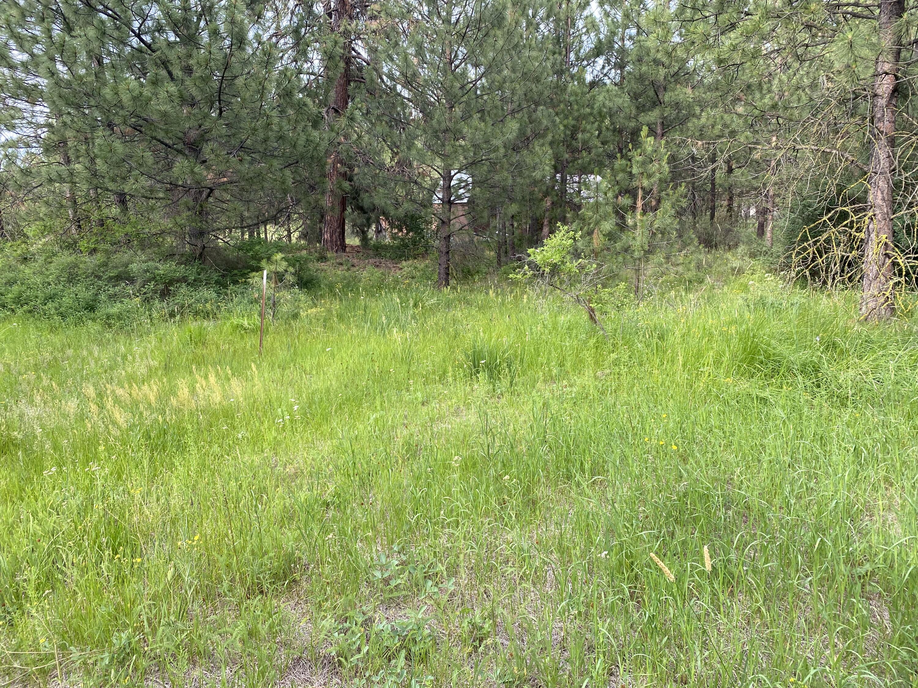 Mountain Lakes Homesites - Land