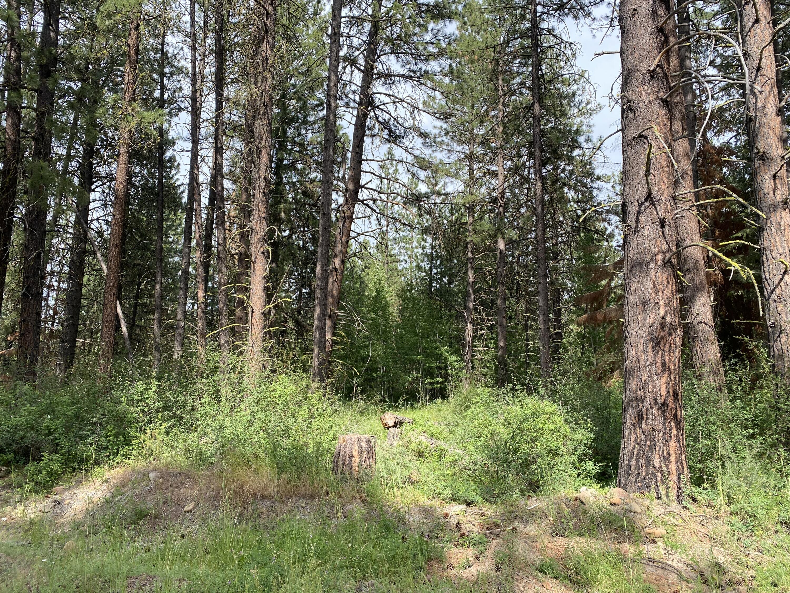 Mountain Lakes Homesites - Land