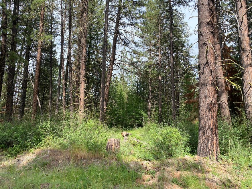 Beautiful, level lot in desirable area. Good mix of timber and meadow. Varney Creek runs along east side of property. Power utility is close to west corner of lot. Close to National Forest and numerous recreational opportunities. Adjoining lot is also for sale as well as the home at 31146 Mountain Lakes Dr. One of the sellers is a licensed Oregon Real Estate Agent.