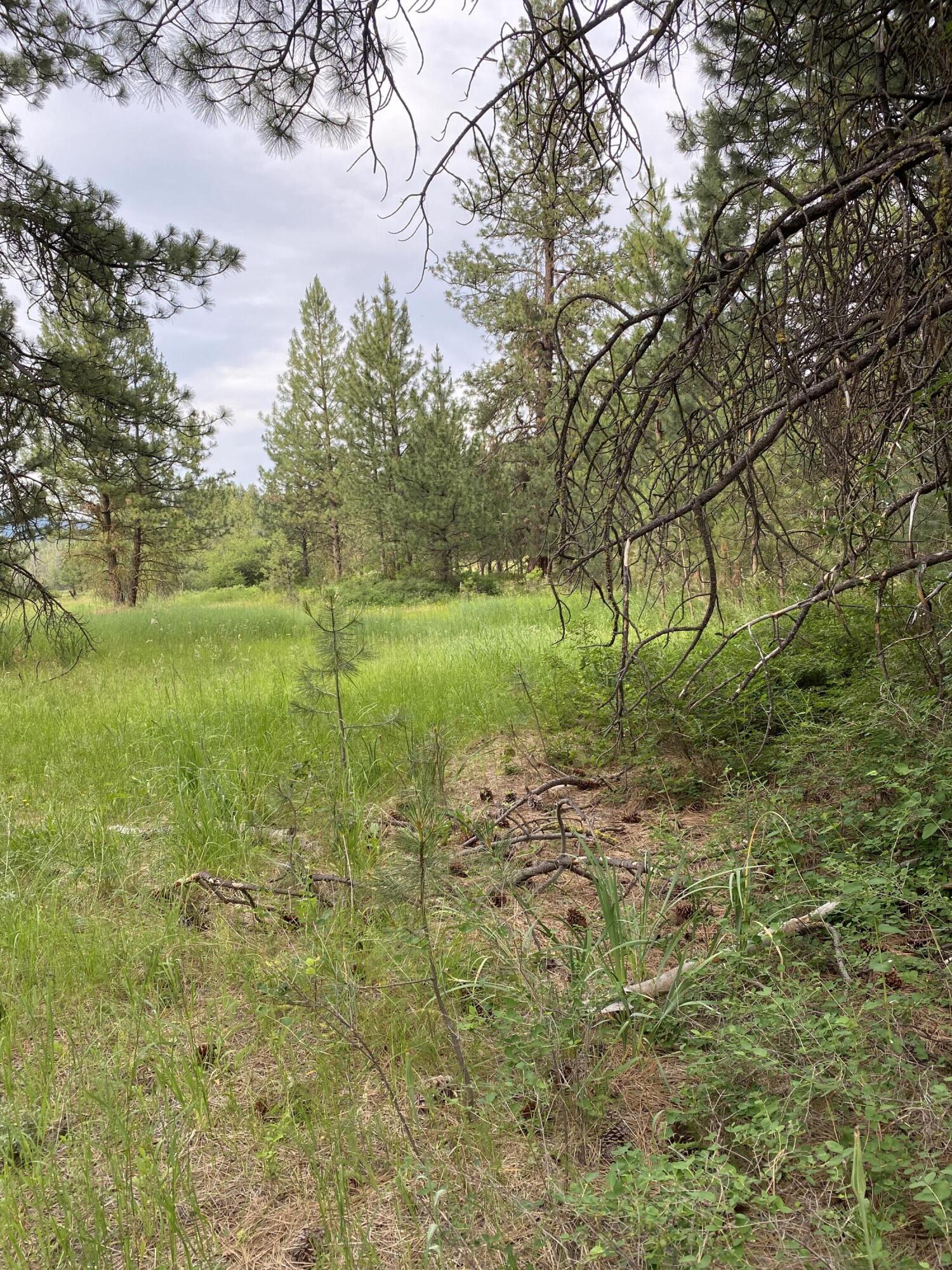 Mountain Lakes Homesites - Land