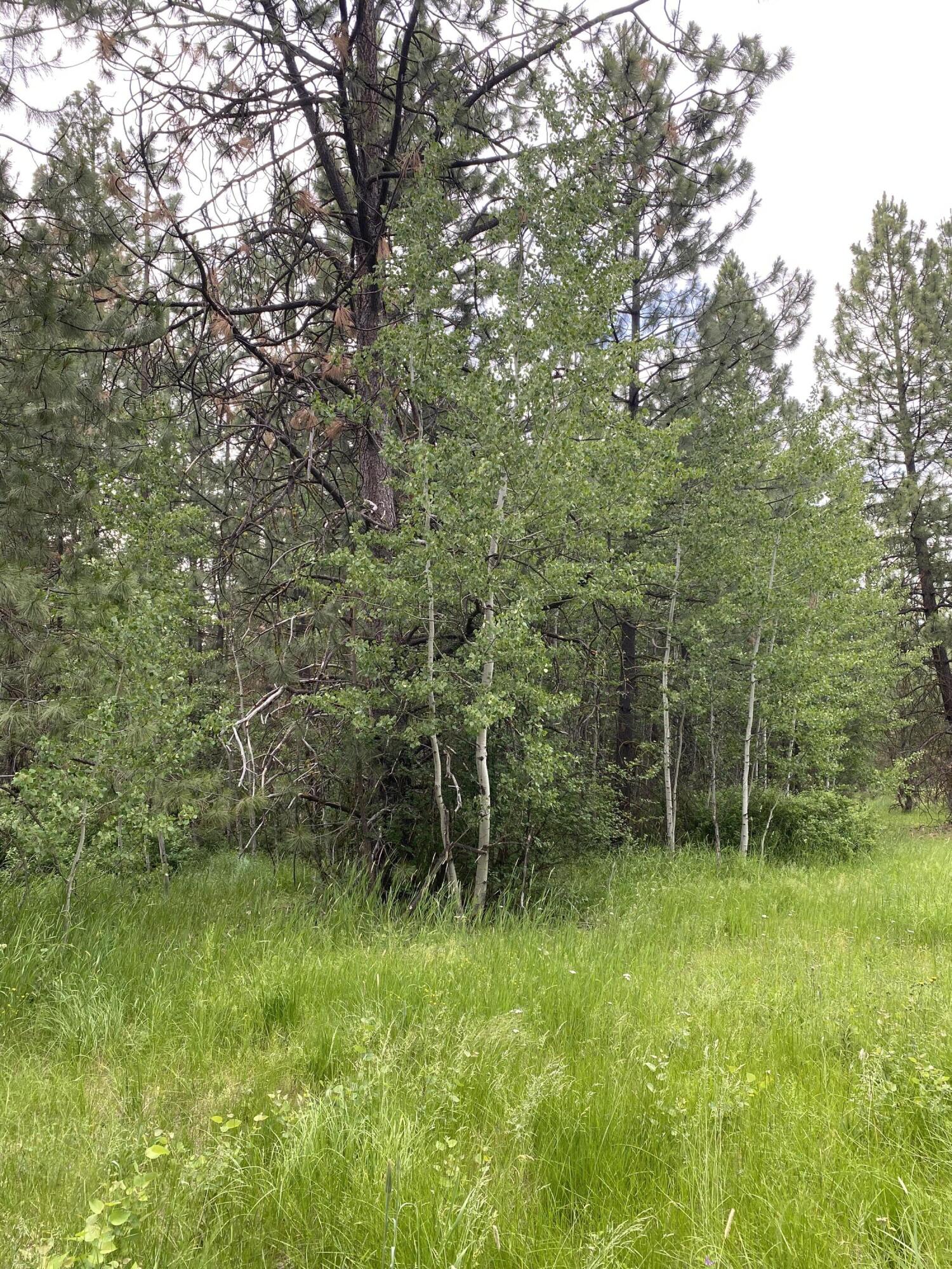 Mountain Lakes Homesites - Land