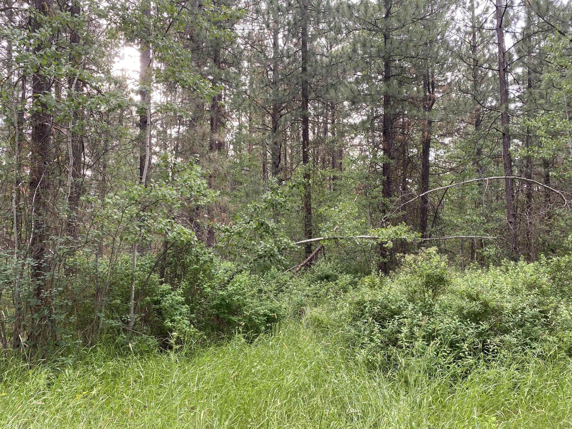 Mountain Lakes Homesites - Land